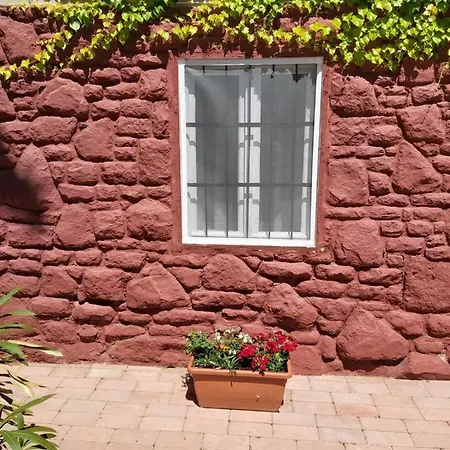 Rosa Balatonföldvár